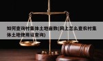 如何查询村集体土地亩数(网上怎么查农村集体土地使用证查询)