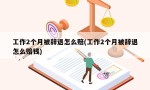 工作2个月被辞退怎么赔(工作2个月被辞退怎么赔钱)