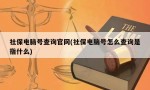 社保电脑号查询官网(社保电脑号怎么查询是指什么)