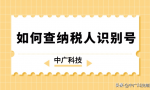 如何查纳税人识别号？相关作用是什么？