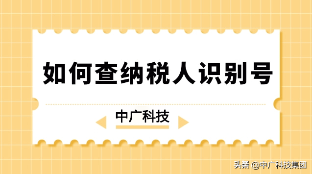 如何查纳税人识别号？相关作用是什么？