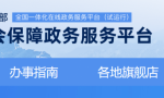 如何查询个人养老保险缴费明细？分享五种方式可供选择