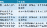 知识产权+法律法规+标准规范