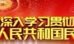 抵押和质押谁更优先——《民法典》关于抵押与质押受偿顺序的规定