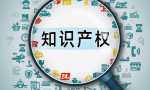 知识产权有哪些类型？高新技术企业参与打分？