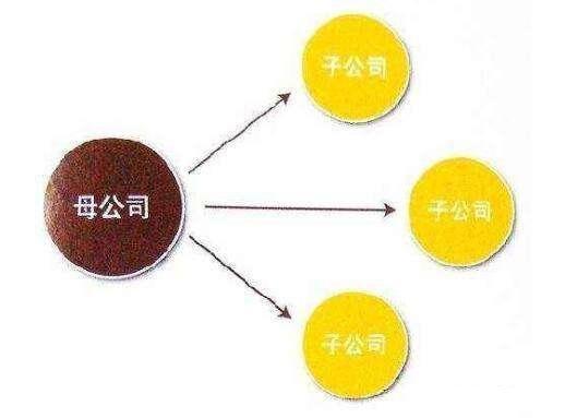 子公司成立的条件是什么?子公司的注册流程是怎样的?