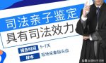 司法亲子鉴定办理流程，需要提供哪些材料？