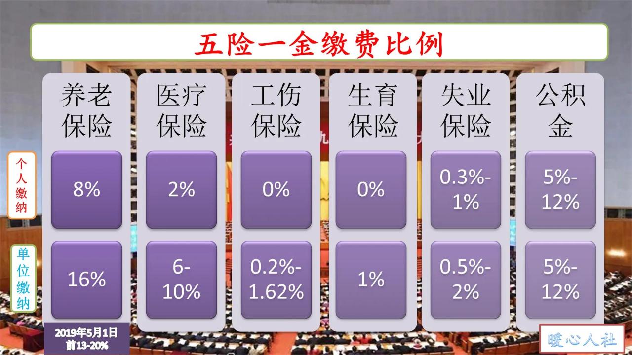 退休职工领取的养老金中，个人缴费和单位缴费分别占比是多少？