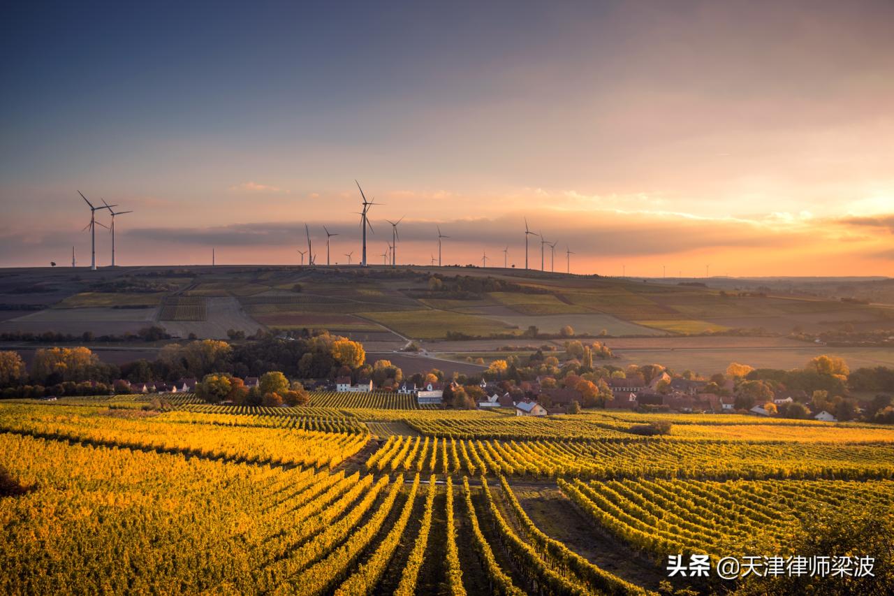 行政诉讼：因非法生育三孩征收社会抚养费，达成诉前行政和解协议