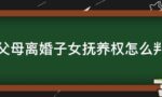 父母对子女抚养权的判决标准是什么？