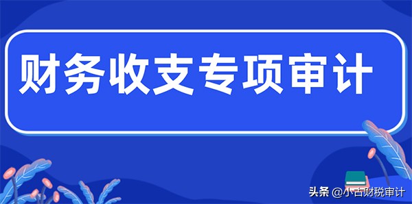 成都公司财务收支专项审计报告