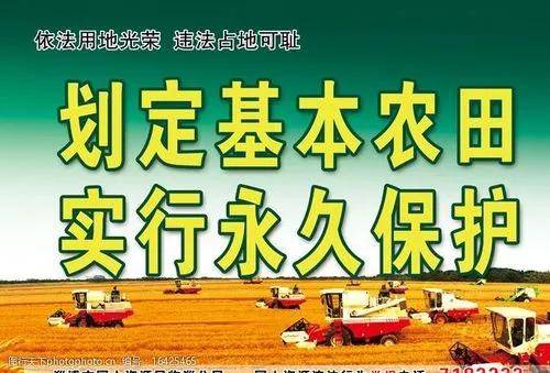 非法占地被判刑，保护土地新举措？农民该注意什么？